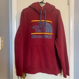 The North Face ✨rare✨ hoodie